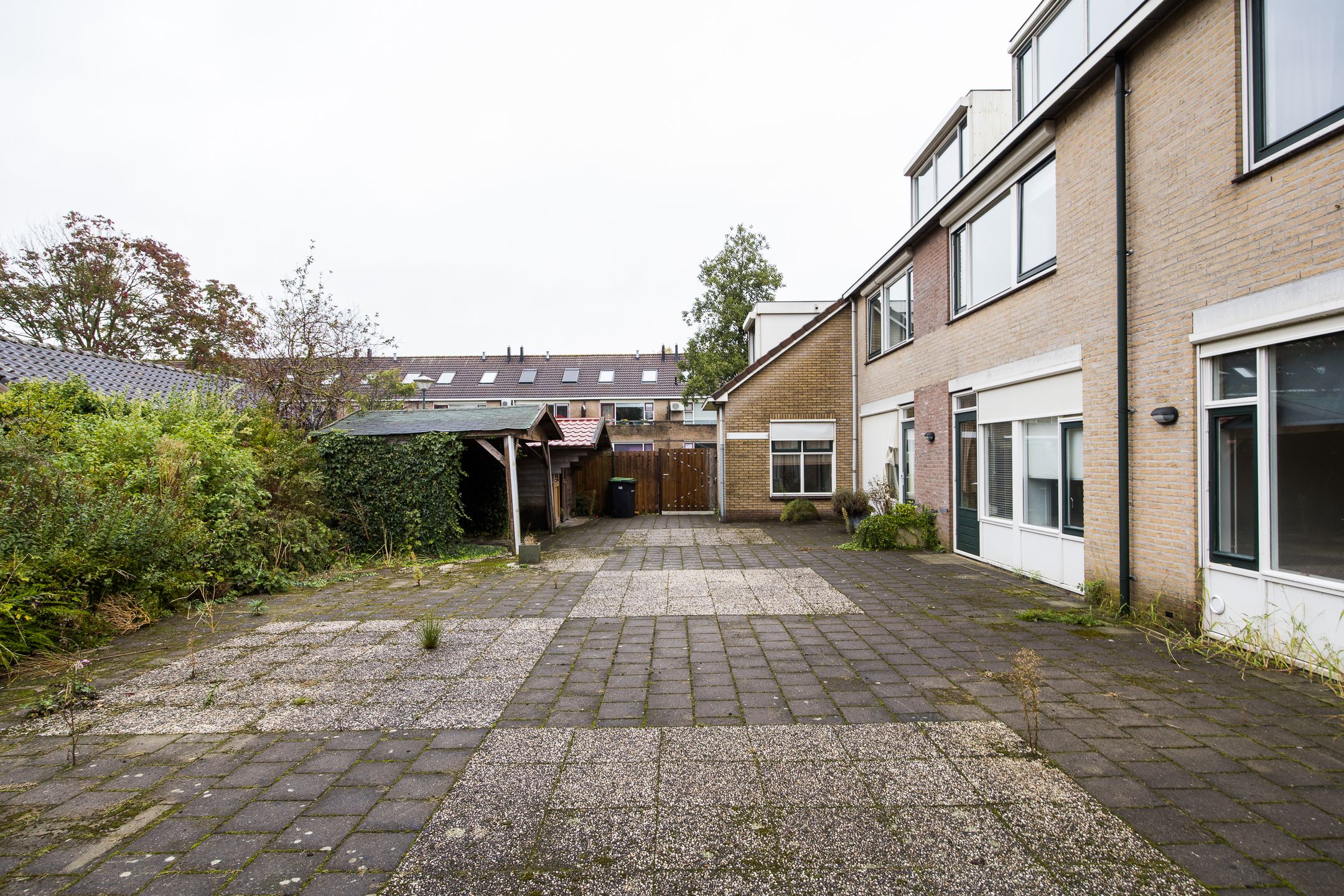 Foto 66 van Plevier 81