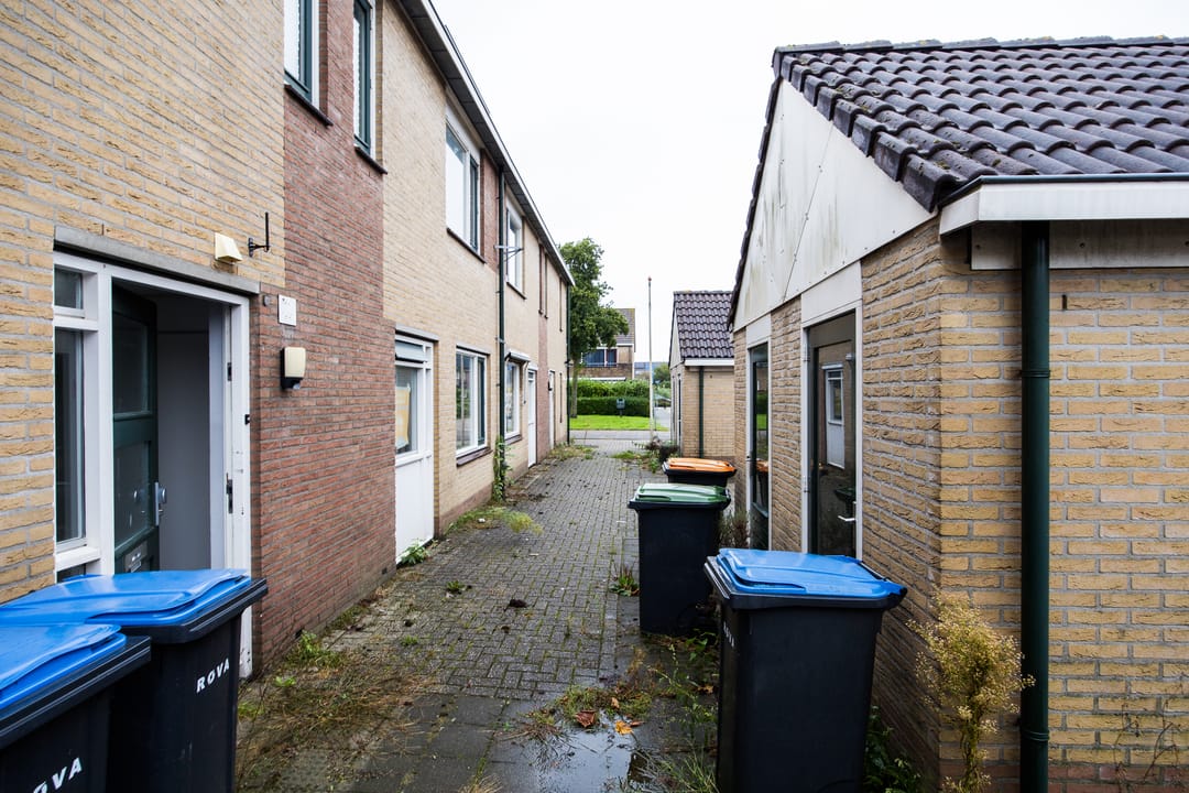 Foto 68 van Plevier 81