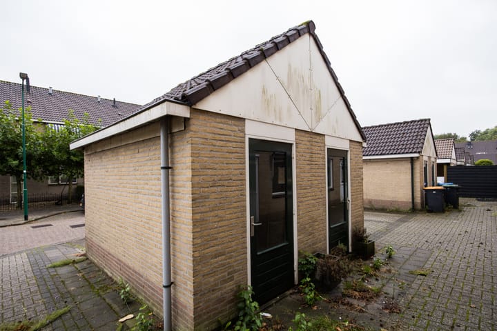 Foto 69 van Plevier 81