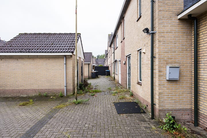 Foto 70 van Plevier 81