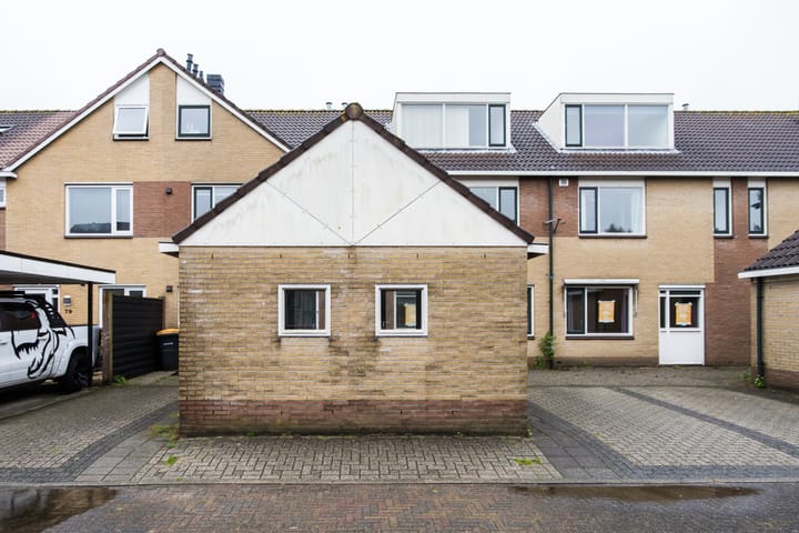 Foto 78 van Plevier 81