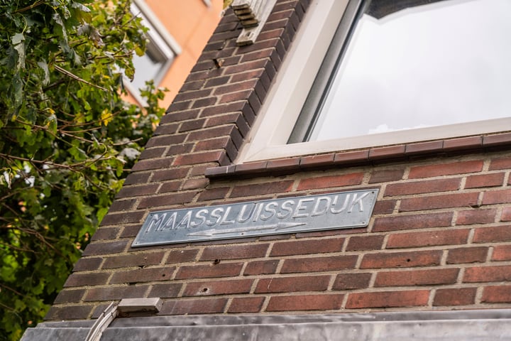 Bekijk foto 34 van Maassluissedijk 116