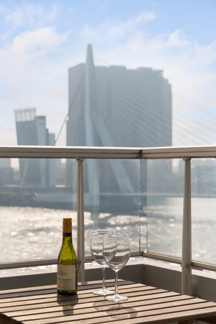 Foto 7 van Boompjes 461