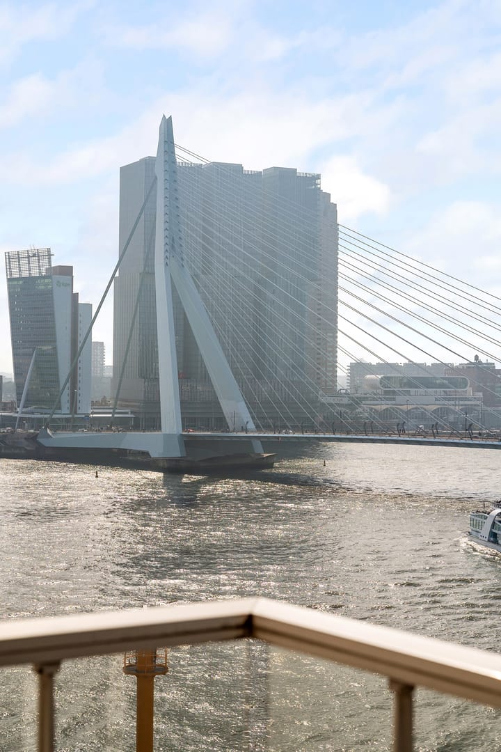 Foto 8 van Boompjes 461