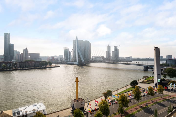 Foto 9 van Boompjes 461