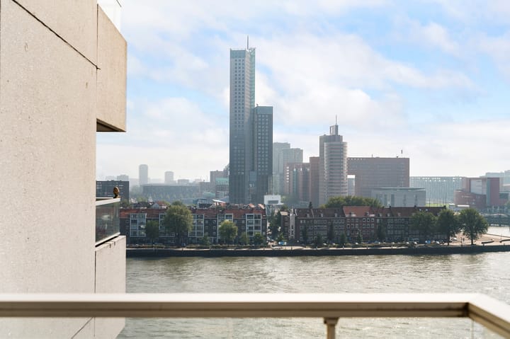 Foto 10 van Boompjes 461