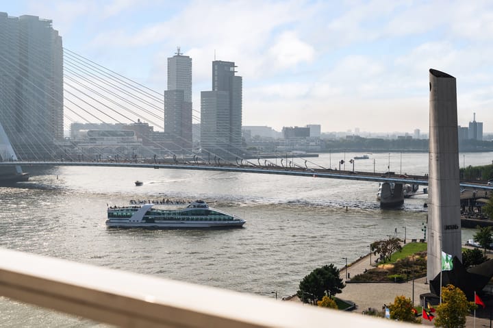 Foto 11 van Boompjes 461