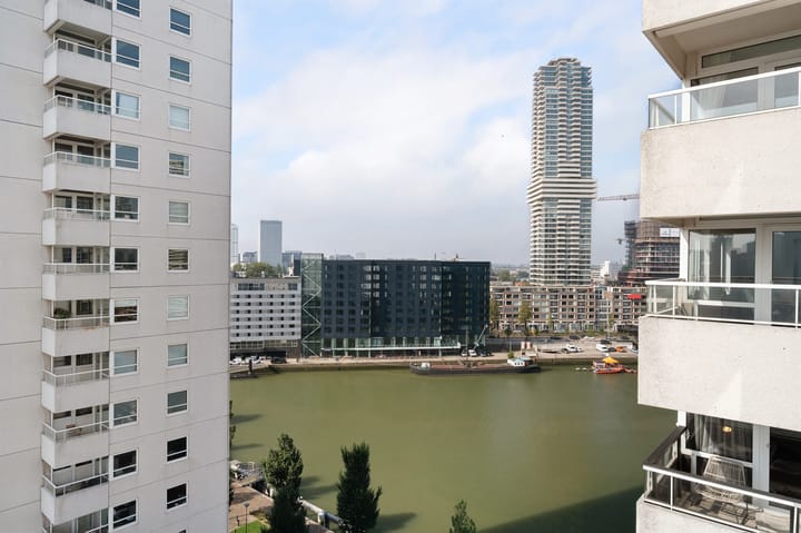 Foto 12 van Boompjes 461