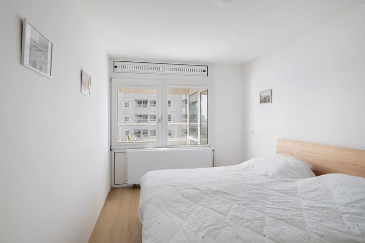 Foto 18 van Boompjes 461