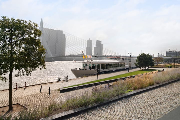 Foto 28 van Boompjes 461