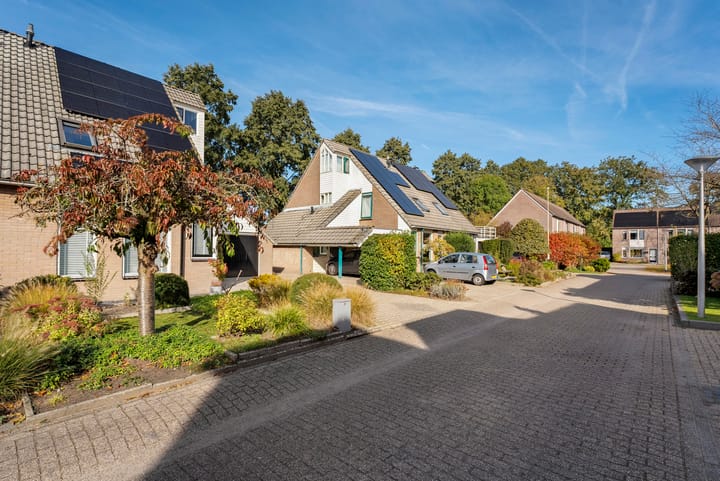 Foto 5 van Veldkers 19