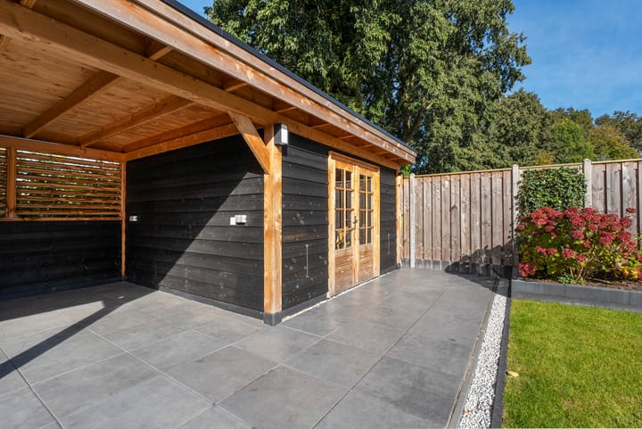 Foto 36 van Veldkers 19