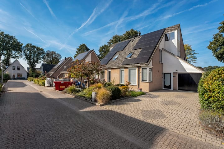 Foto 39 van Veldkers 19