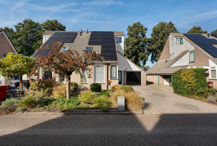 Foto 31 van Veldkers 19