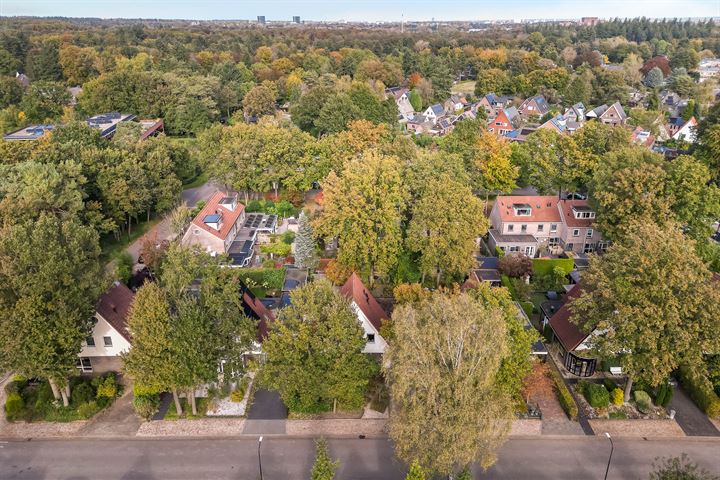 Bekijk foto 50 van Hoog Buurloseweg 22-A