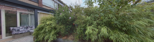 View 360° photo of Achtertuin of De Frankenthaler 15