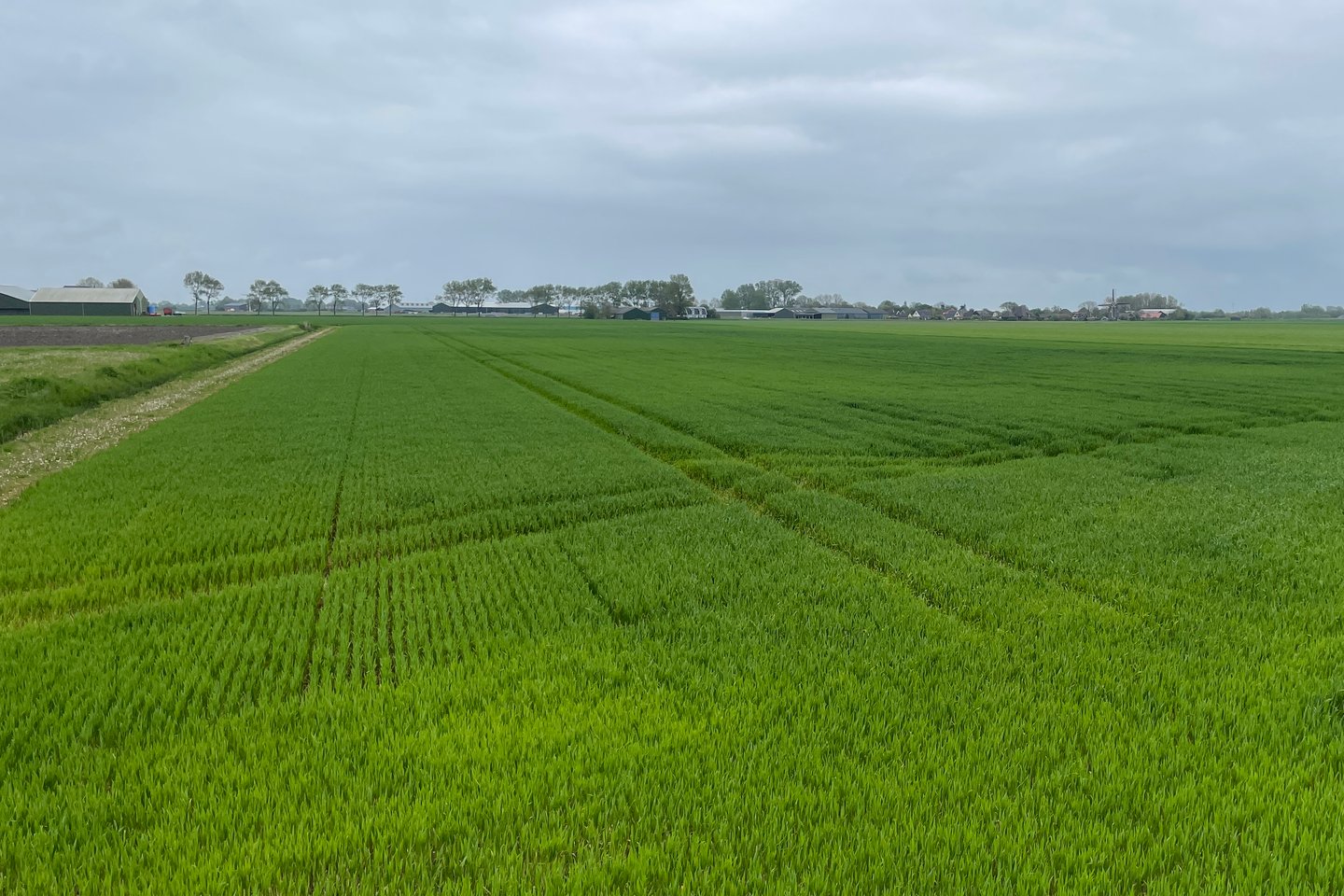 Bekijk foto 2 van Delftweg