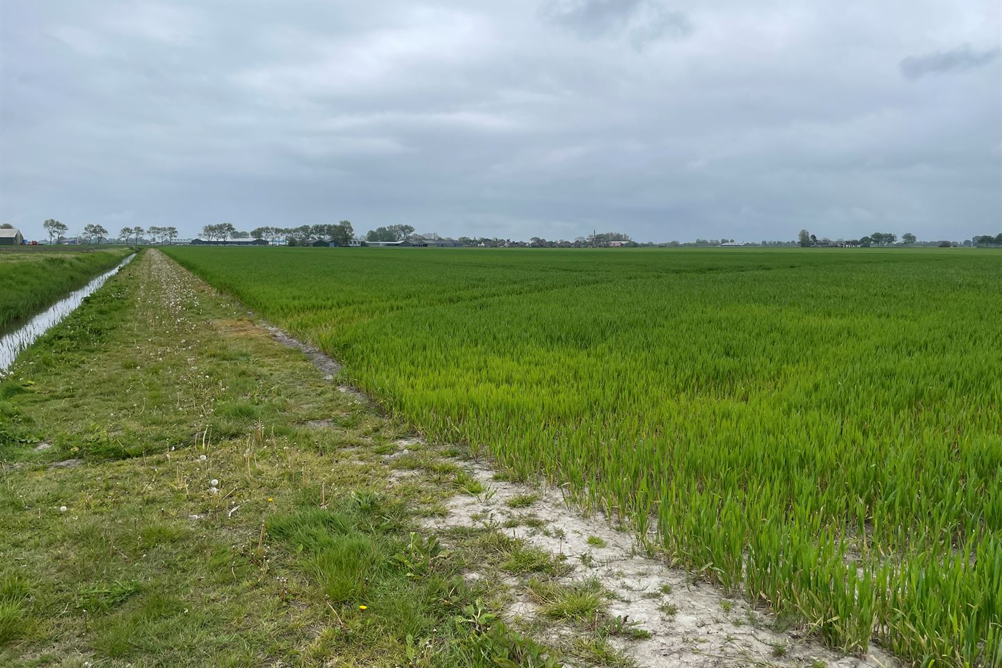 Bekijk foto 3 van Delftweg