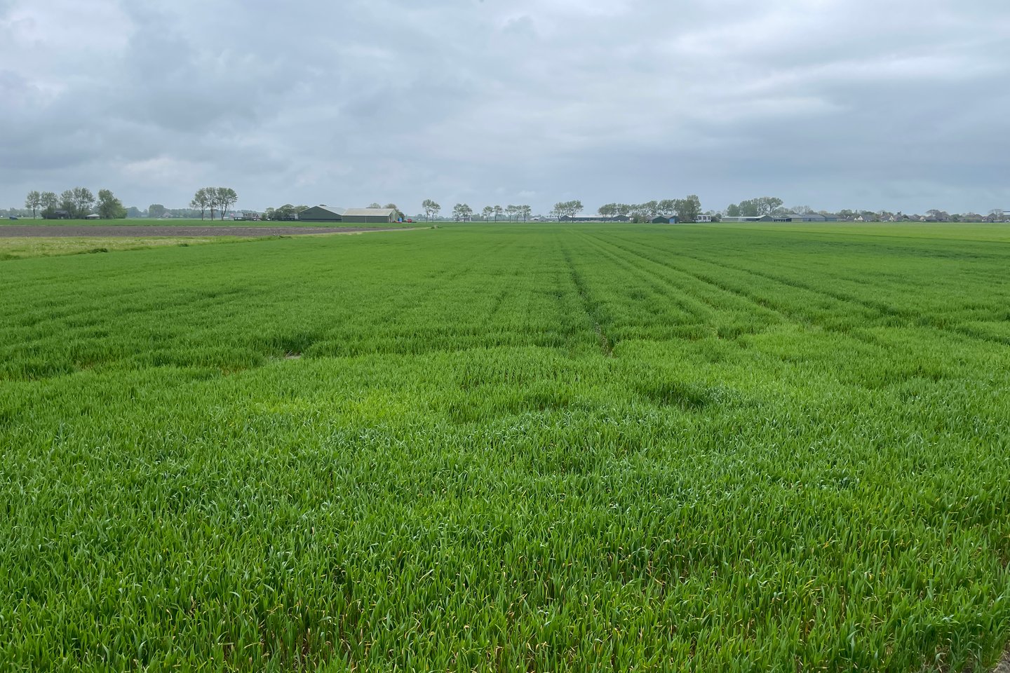 Bekijk foto 4 van Delftweg