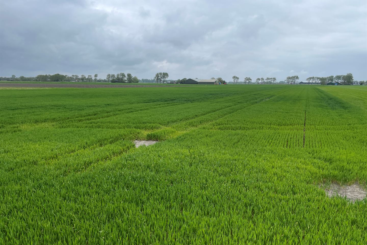 Bekijk foto 5 van Delftweg