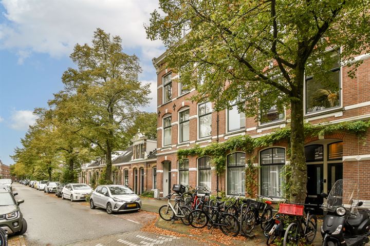 Bekijk foto 3 van Lutmastraat 263-H