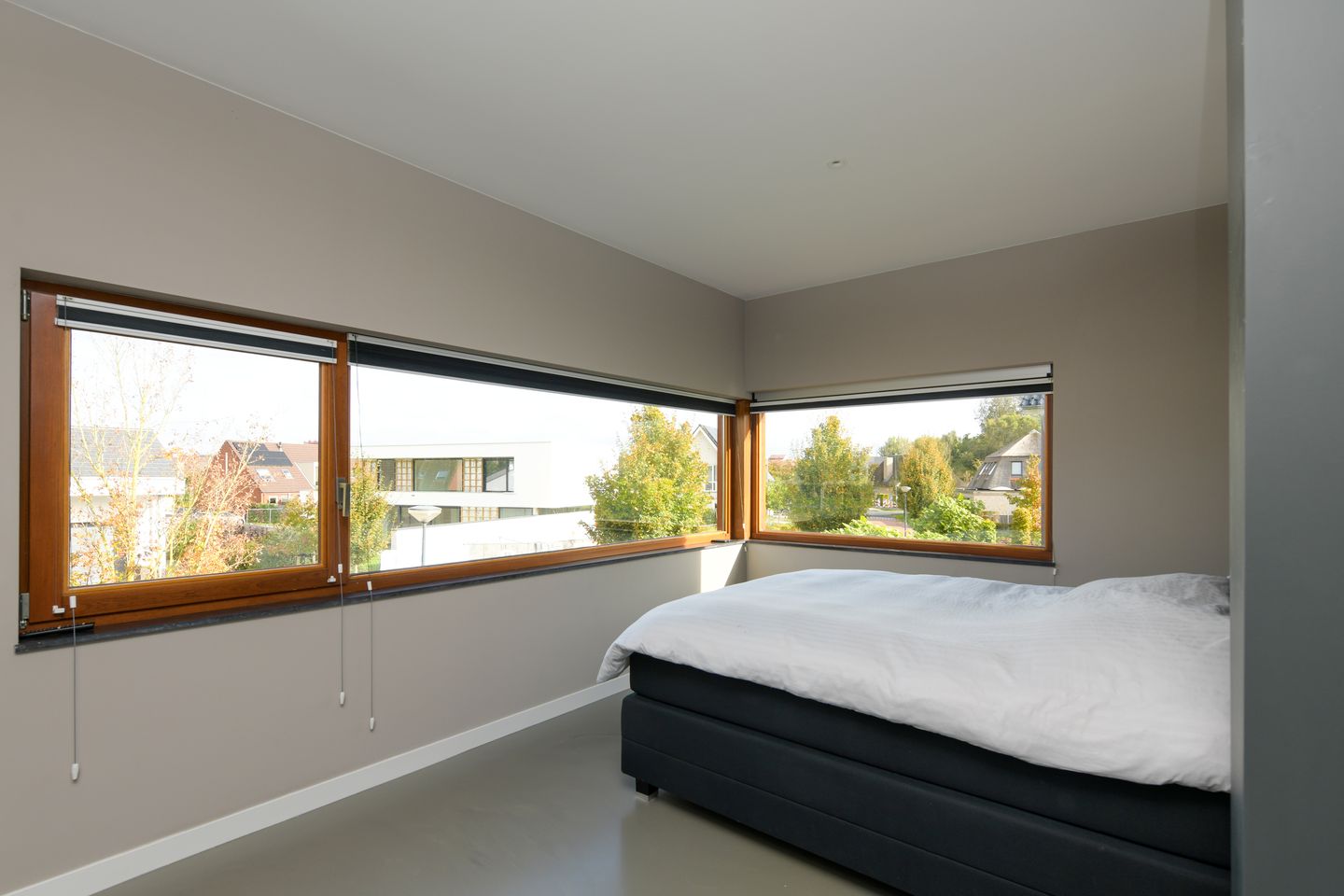 Foto 29 van Kobalt 2