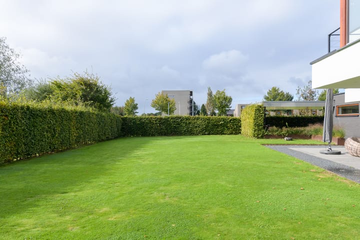 Foto 50 van Kobalt 2