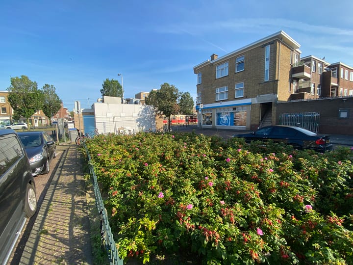 Foto 2 van Voorthuizenstraat 227