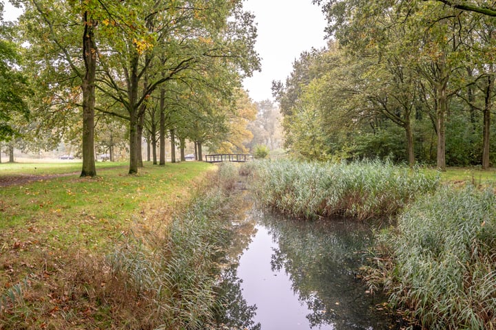 View photo 40 of Lijzij 109