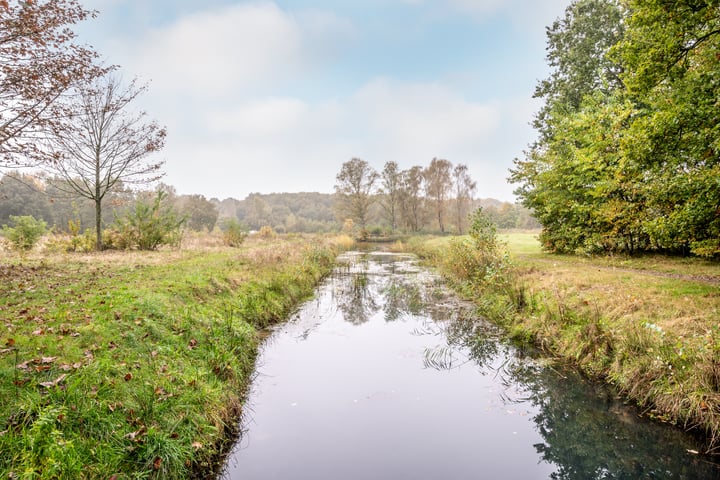 View photo 43 of Lijzij 109