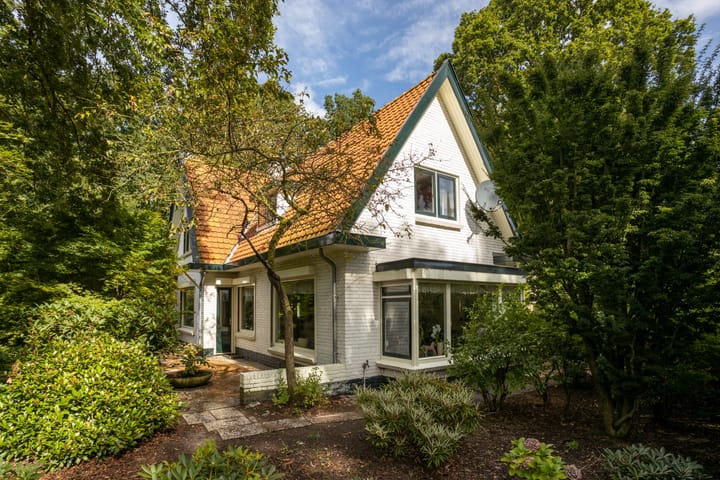 Foto 3 van Horsterweg 194