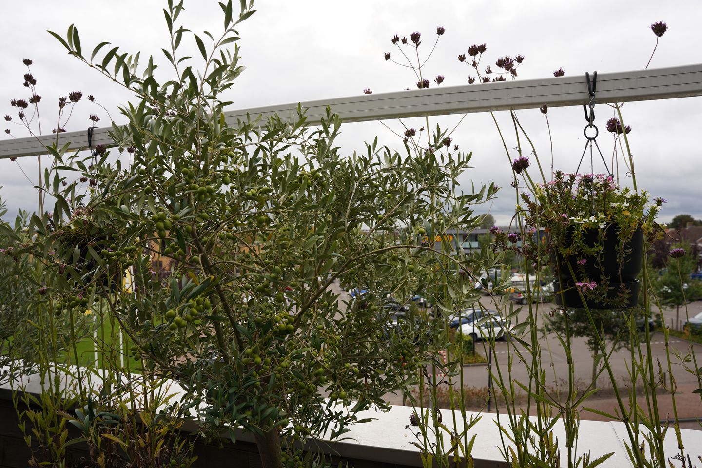 Foto 40 van Destombestraat 5-021