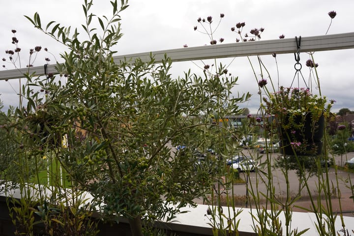 Foto 40 van Destombestraat 5-021