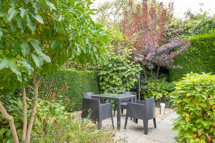 Foto 34 van Staatsland 11