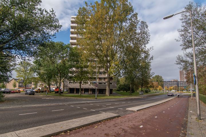 Bekijk foto 19 van Graaf Janstraat 173