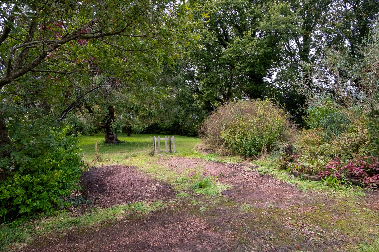 Foto 35 van de Ring 4