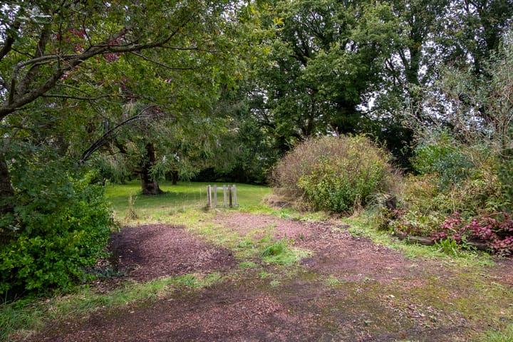 Photo 35 of de Ring 4