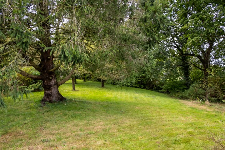 Photo 36 of de Ring 4