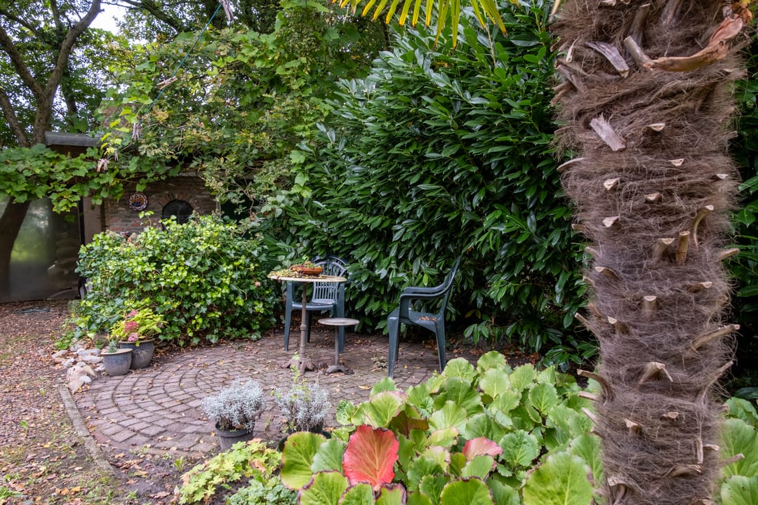 Foto 37 van de Ring 4