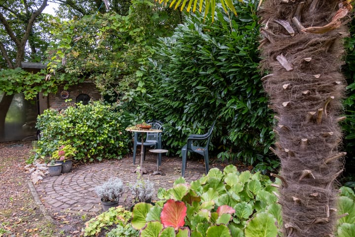 Photo 37 of de Ring 4