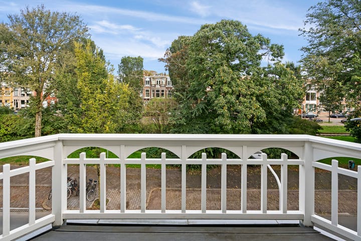 Foto 31 van Van Boetzelaerlaan 10