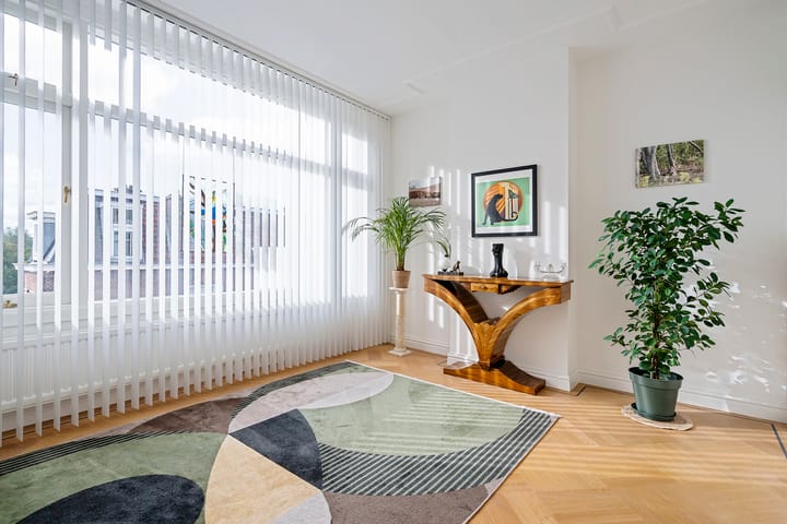 Foto 50 van Van Boetzelaerlaan 10