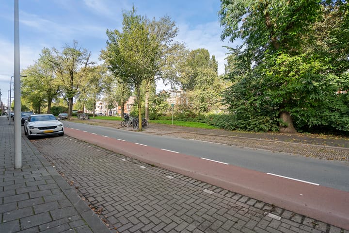 Foto 66 van Van Boetzelaerlaan 10