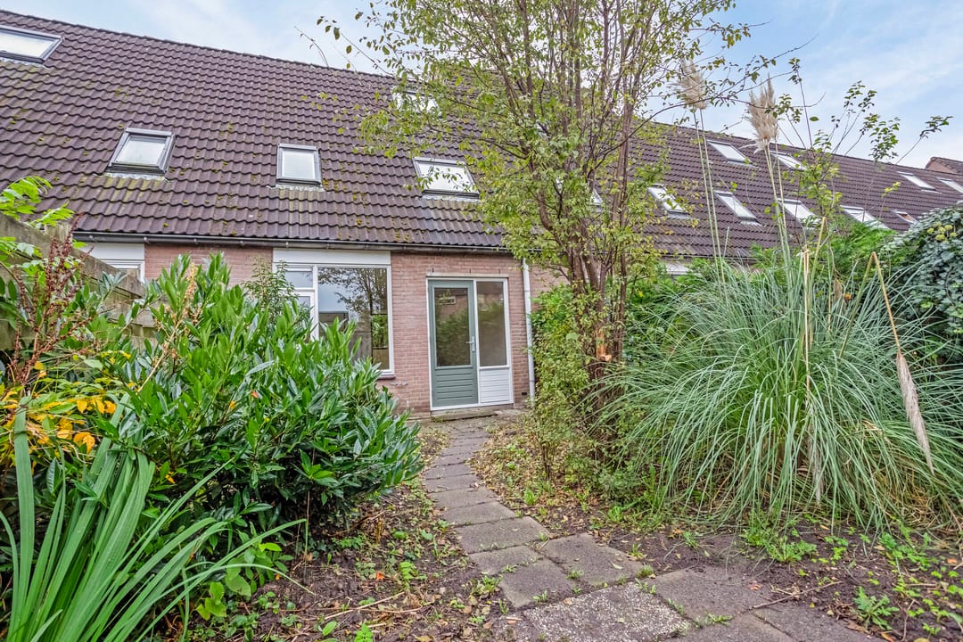 Photo 11 of Apolloburg 15