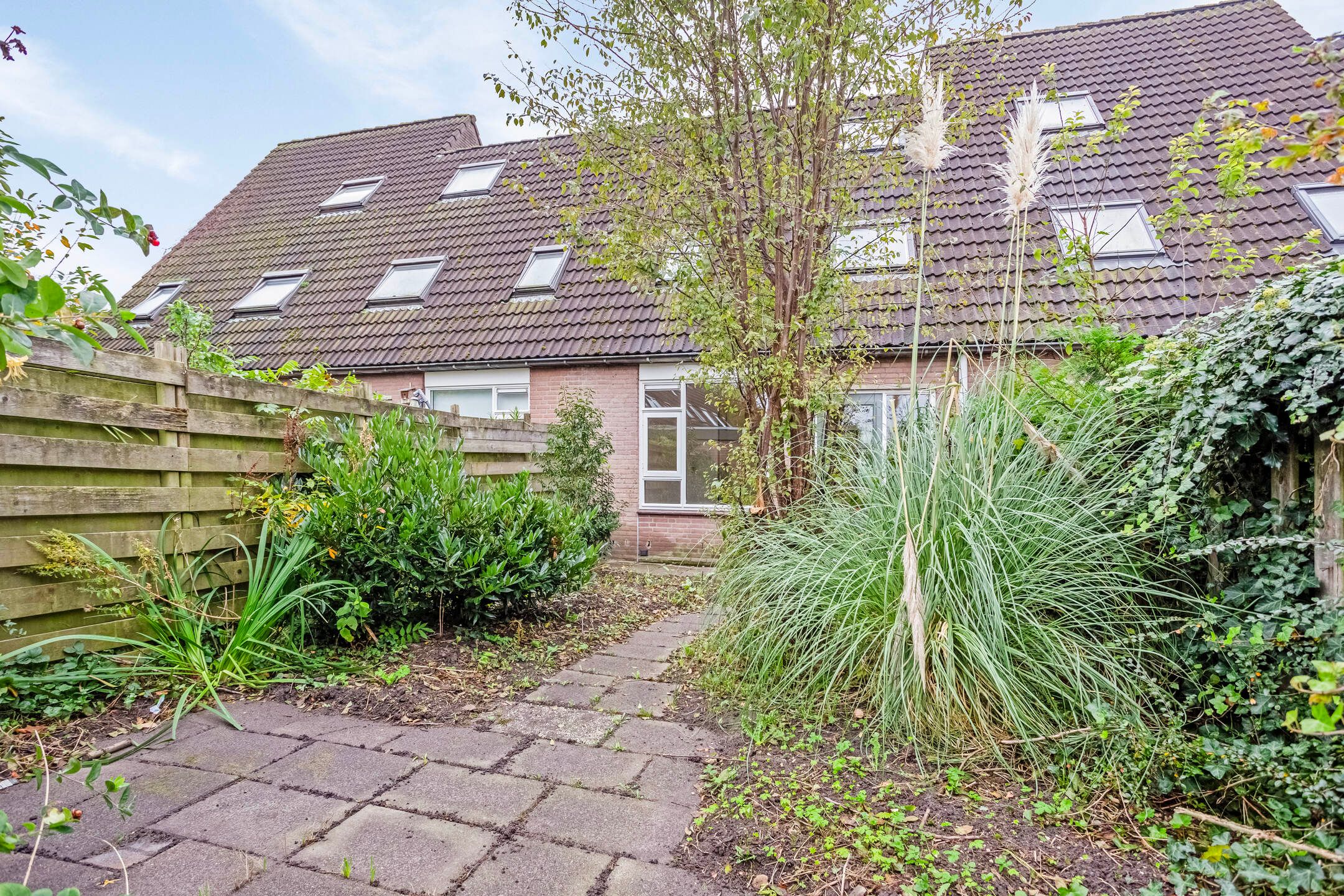 Photo 12 of Apolloburg 15