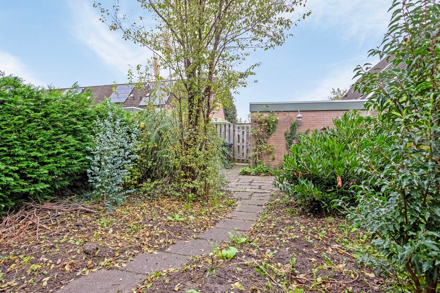 Photo 14 of Apolloburg 15