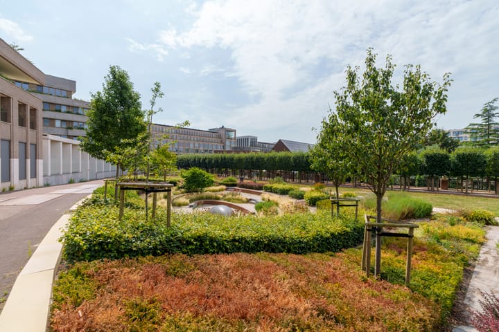 Photo 44 of San Marinostraat 57