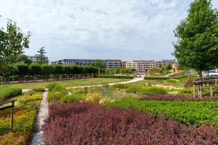 Photo 45 of San Marinostraat 57