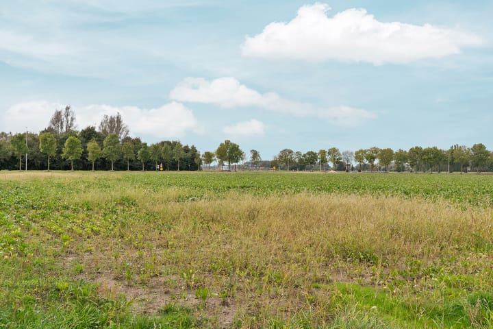 Foto 83 van Molenstraat 6