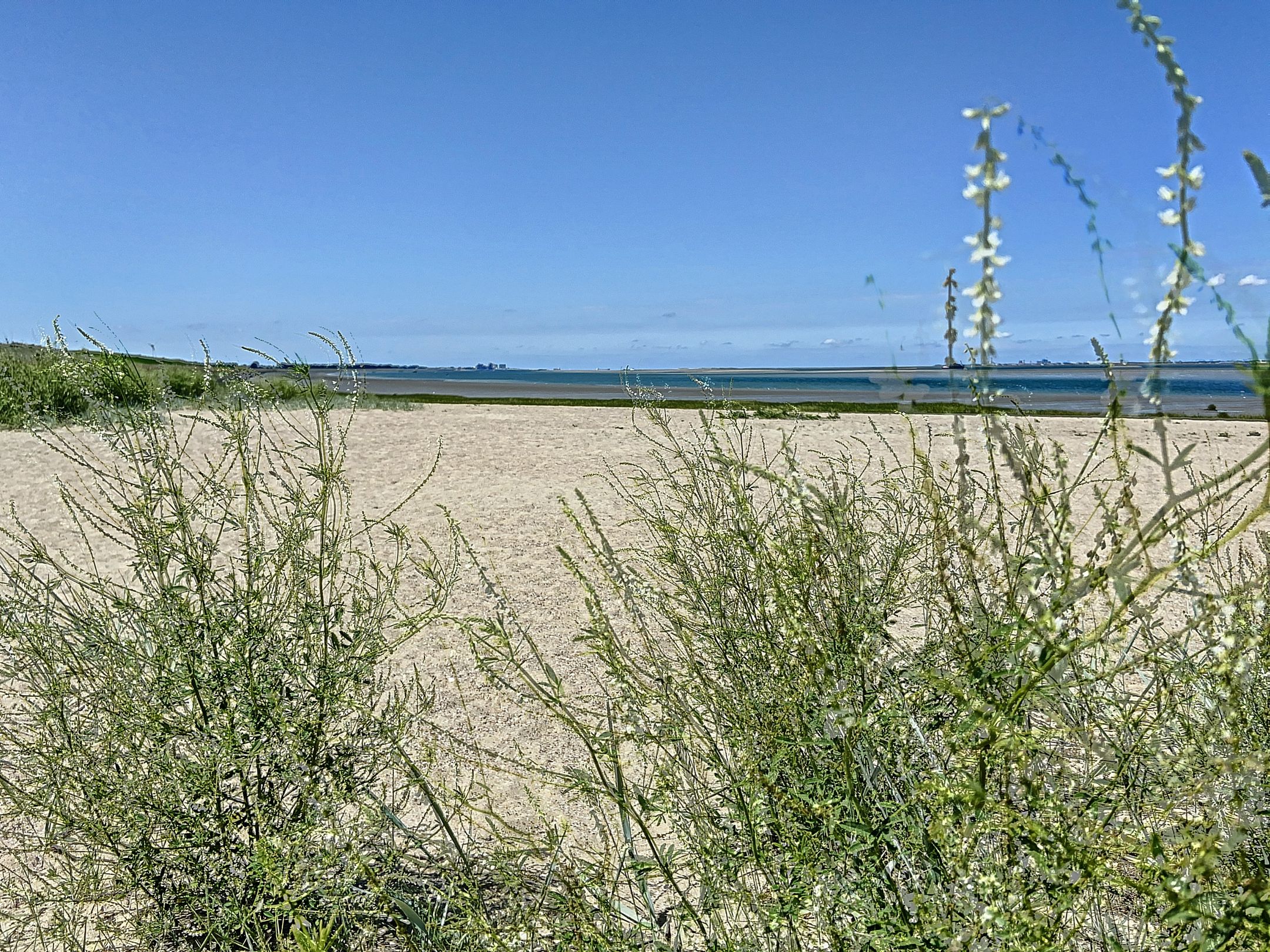 Foto 9 van Koningin Julianastraat 27